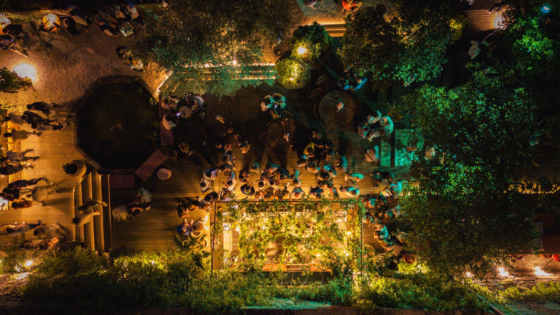 Noites de BOSCO