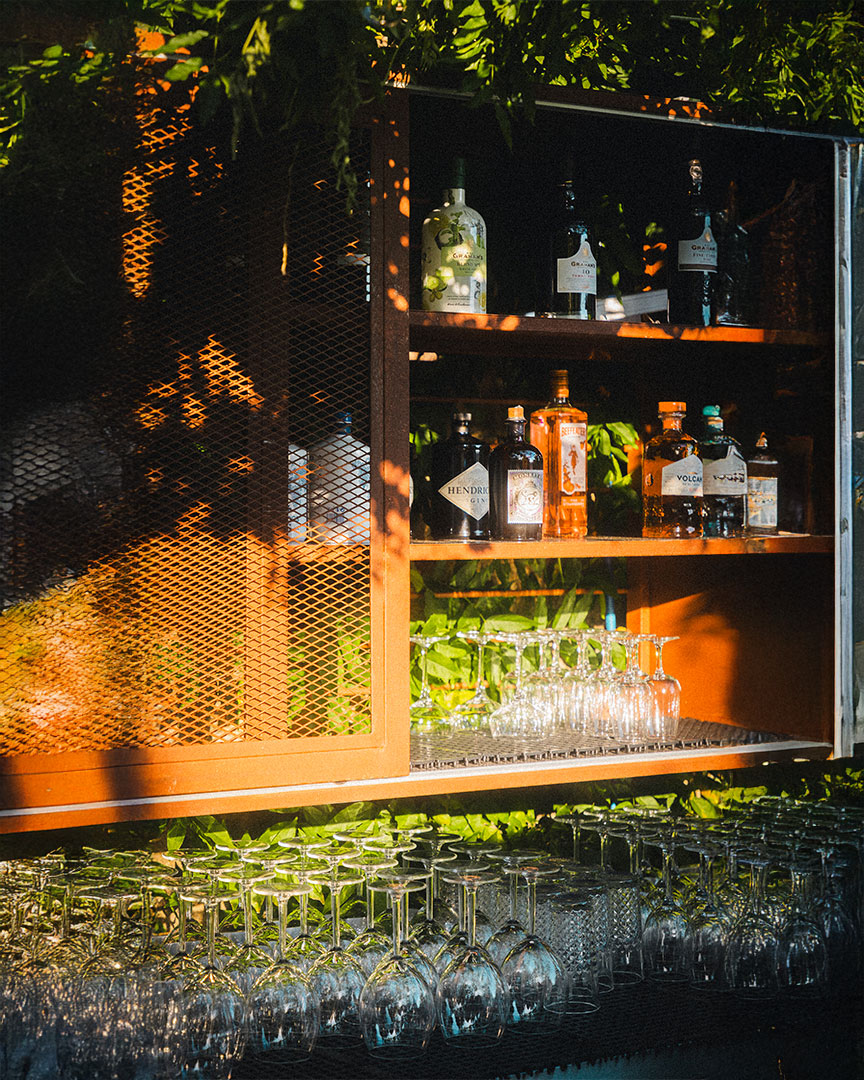 Bar BOSCO
